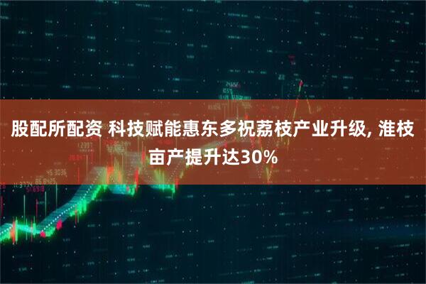 股配所配资 科技赋能惠东多祝荔枝产业升级, 淮枝亩产提升达30%